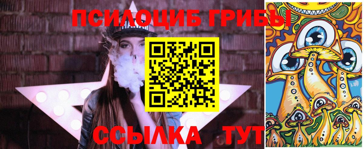 Вольск  Галлюциногенные грибы прущие грибы  Вход с VPN  Галлюциногенные грибы мицелий 